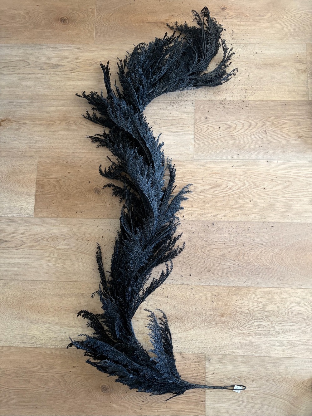 Crate&Barrel ‘Spooky Black Garland’